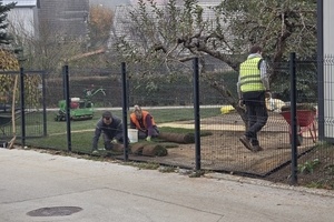 Polaganje travne ruše